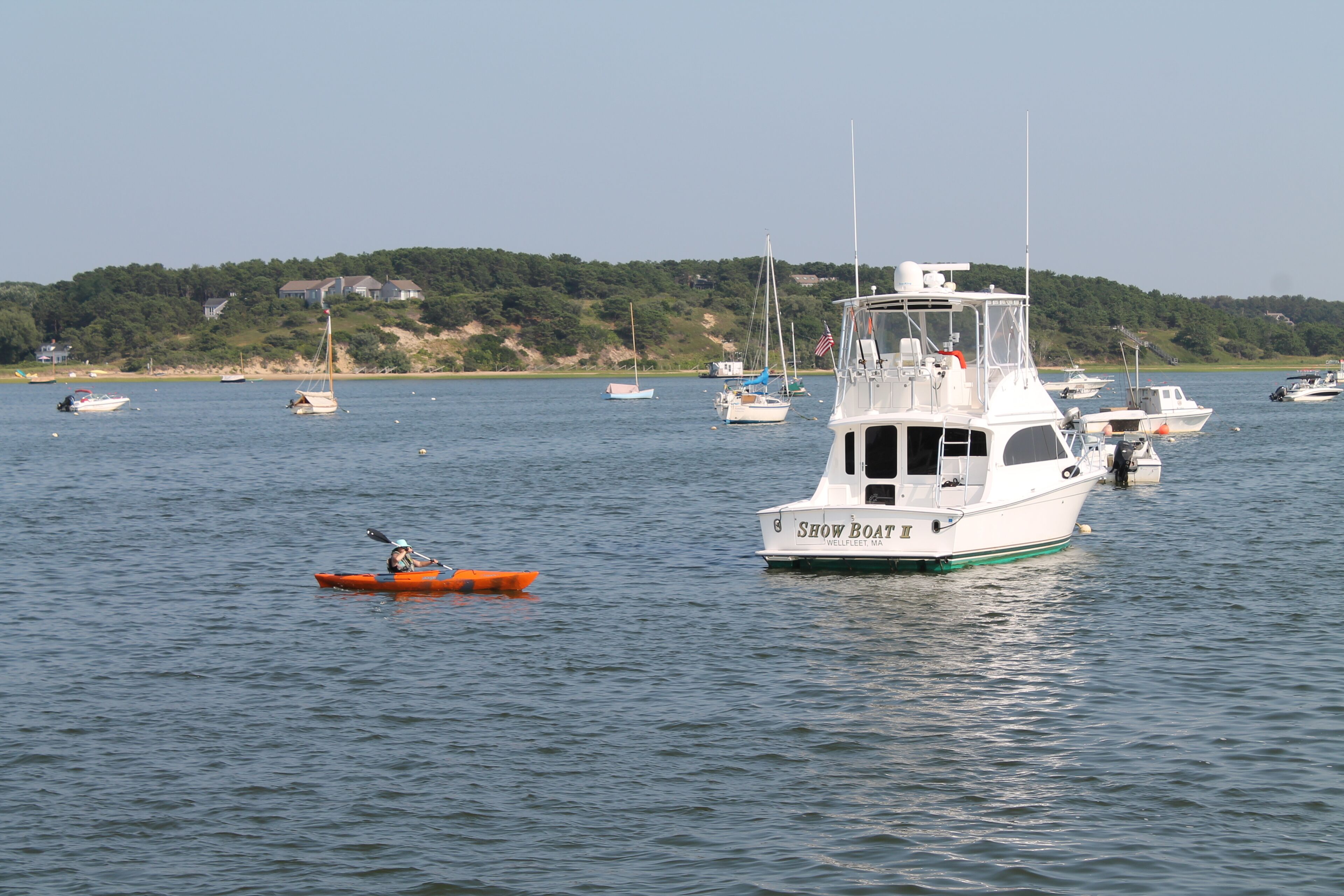 Un puerto deportivo con varios barcos, incluyendo un barco blanco identificado como 'Show Boat'.