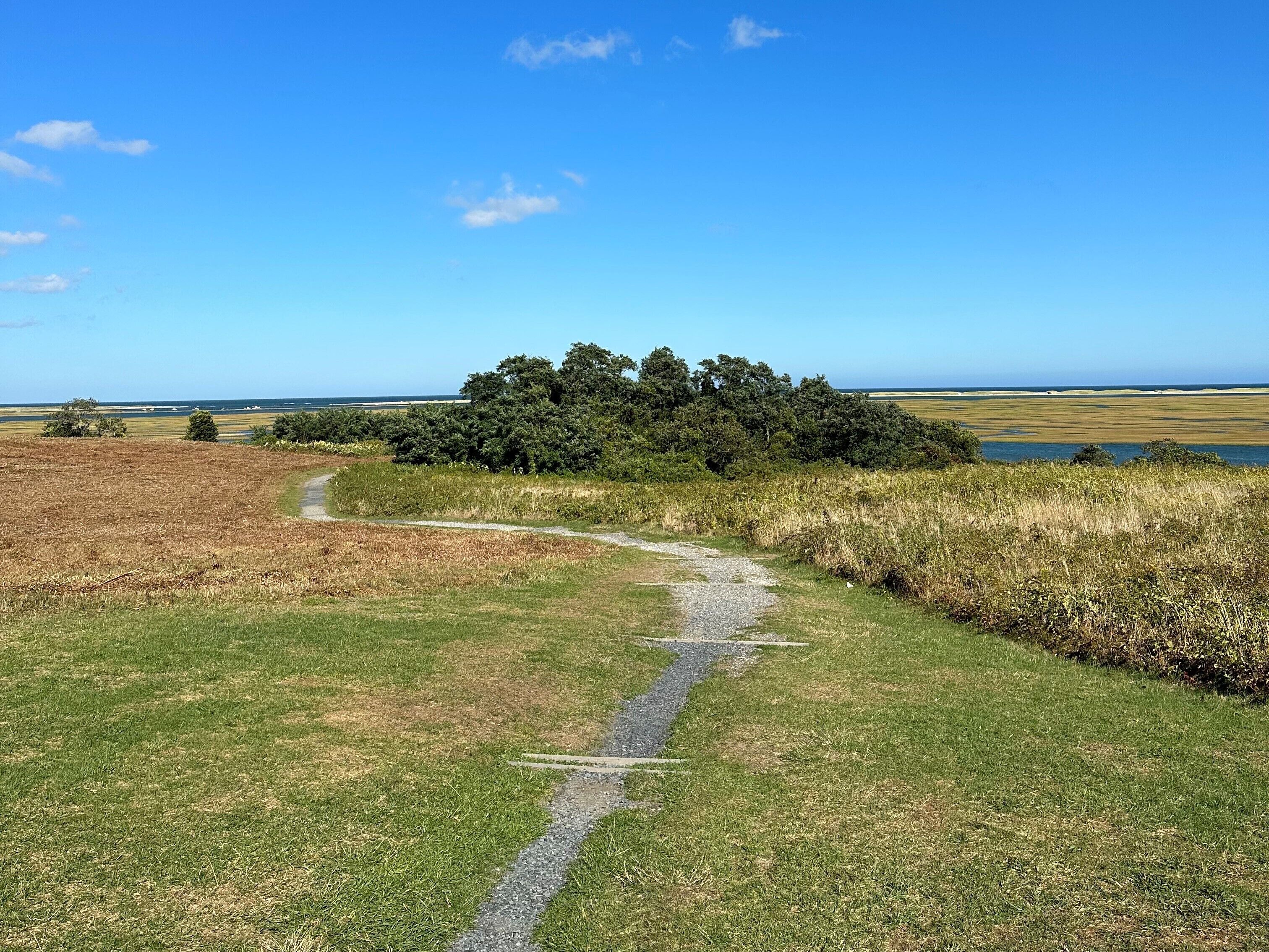 A grassy path leading to a cluster of trees and a body of water.