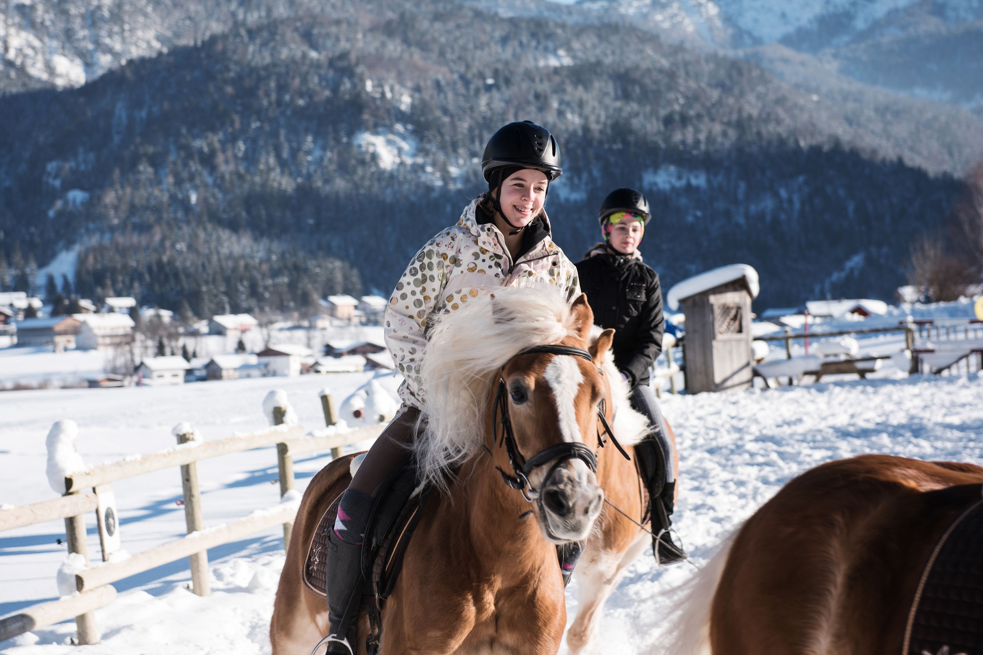 A horse and rider in a snowy outdoor setting with a mountainous backdrop.