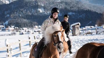 A horse and rider in a snowy outdoor setting with a mountainous backdrop.