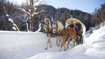 Une calèche tirée par des chevaux se déplace dans une forêt enneigée.