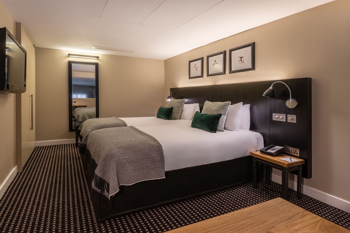 A hotel room with a large bed, a bedside table with a lamp, a TV mounted on the wall, and a patterned carpet.