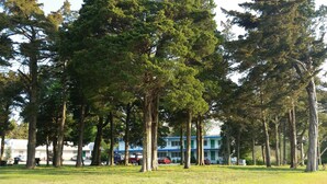 Um parque com árvores altas e um edifício com paredes externas azuis e brancas.