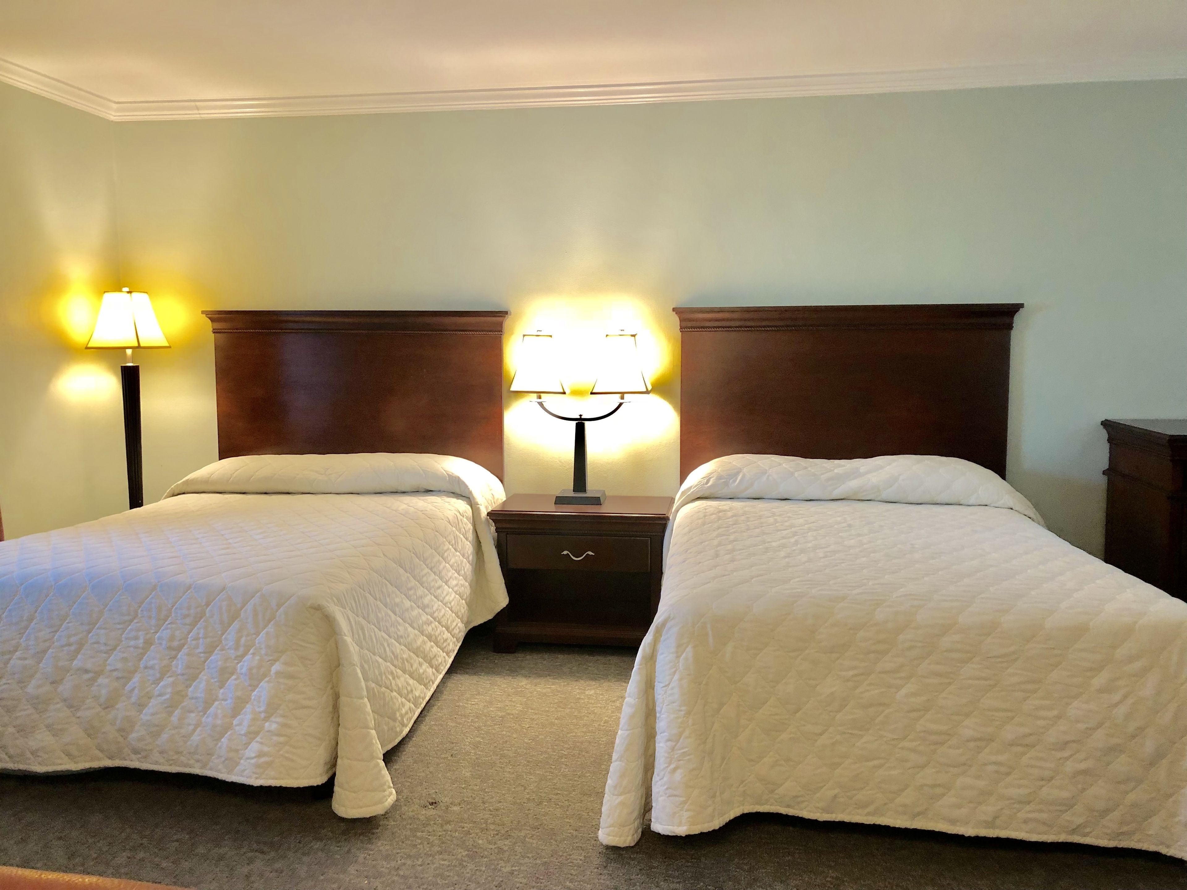 A hotel room with two single beds, each with a wooden headboard, a nightstand with a lamp, and a carpeted floor.