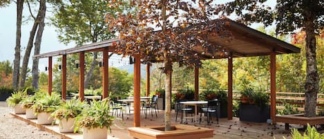 BBQ/picnic area