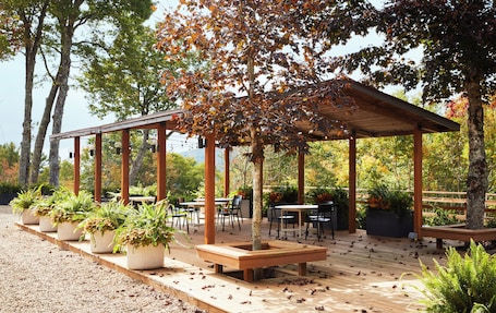 BBQ/picnic area