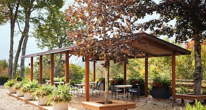 The Skyline Lodge