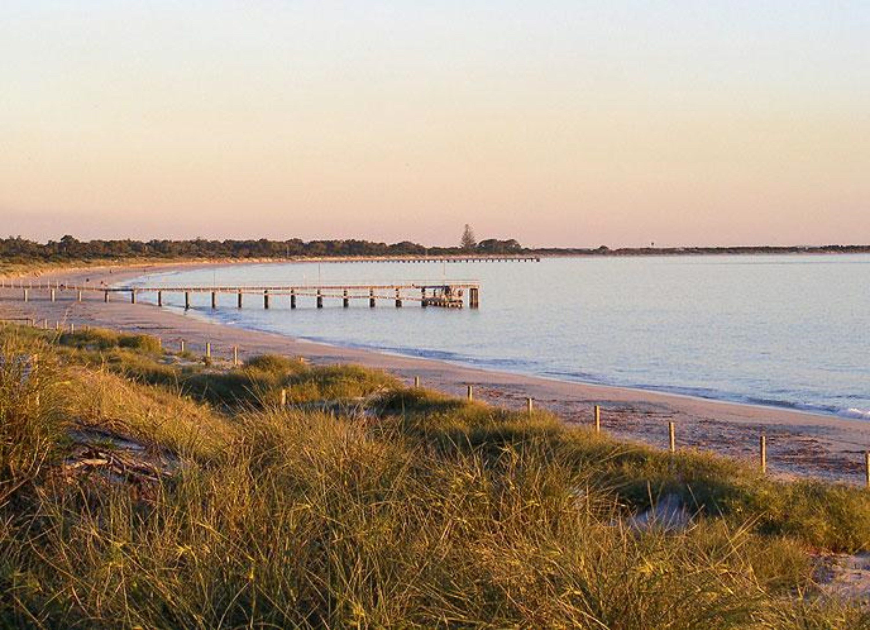 A beach with a wooden pier extending into calm waters, surrounded by grassy dunes.