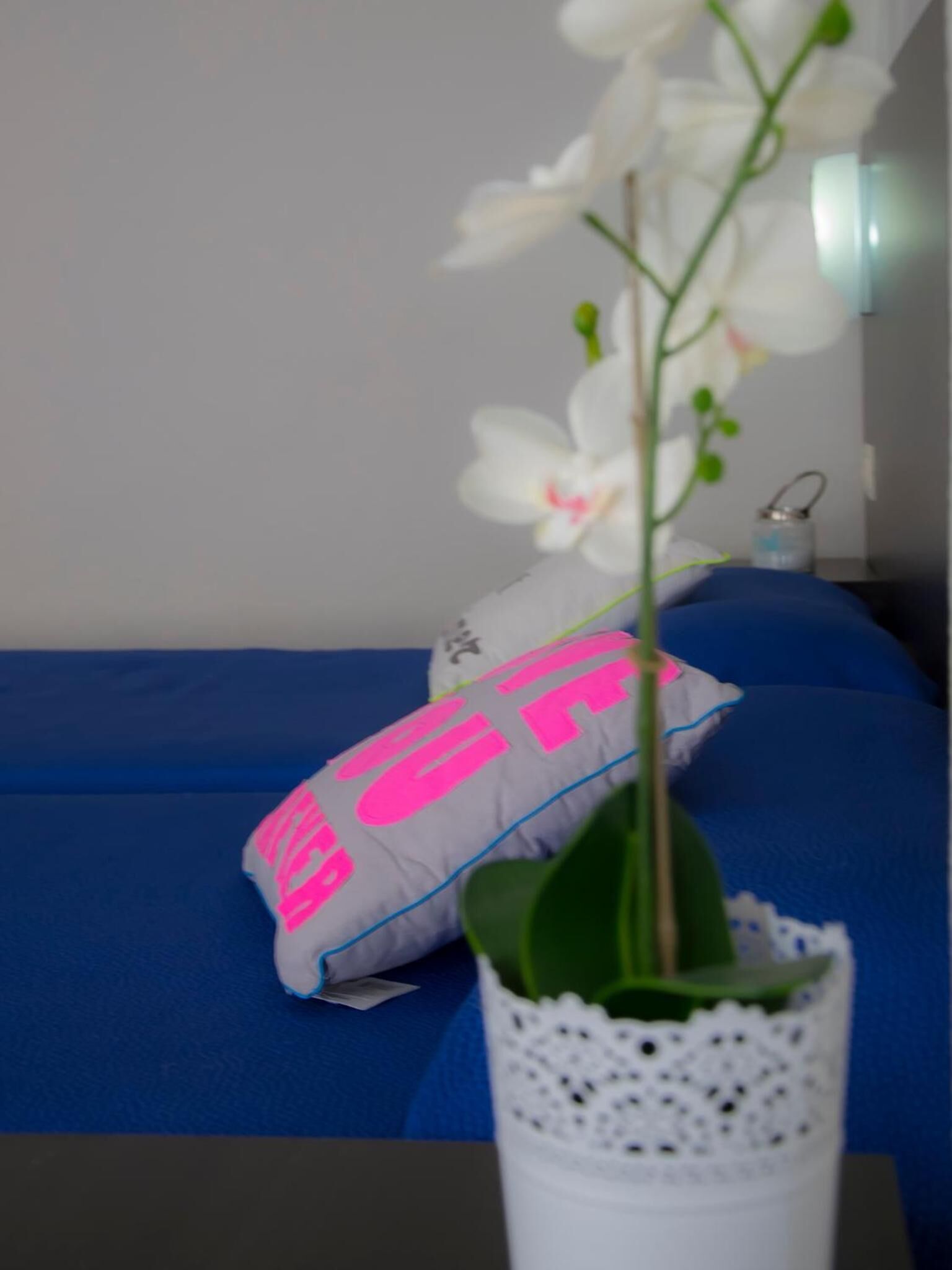 Photo - Hotel Safari