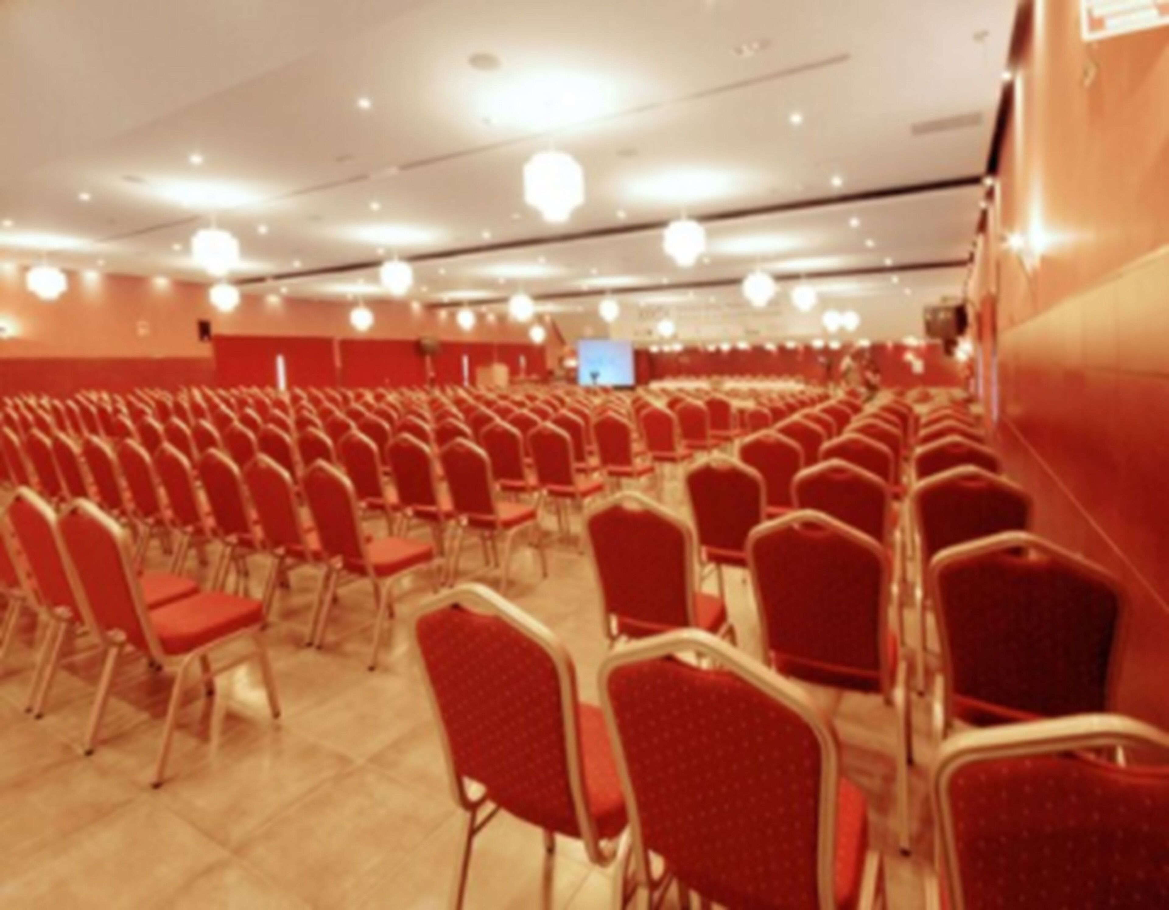 Photo - Hotel Safari