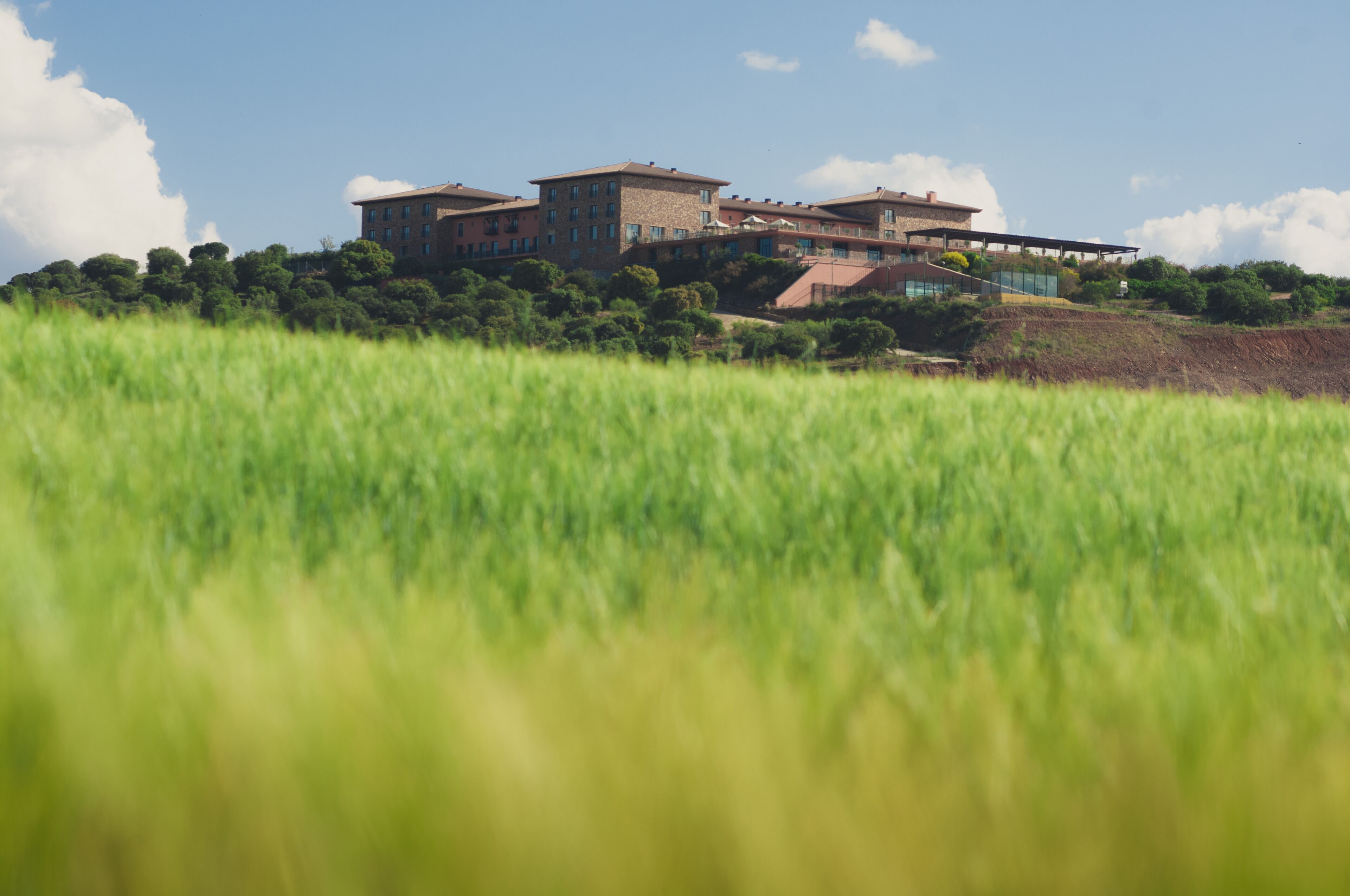 A large building with multiple floors, surrounded by lush greenery and a field in the foreground.