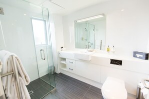 Douche, articles de toilette (gratuits), séchoir à cheveux
