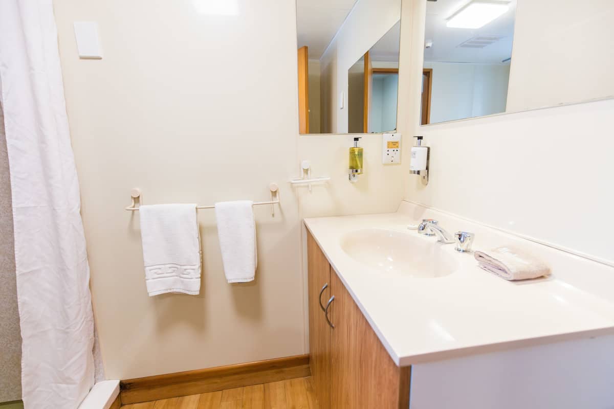 economy studio | bathroom | shower, free toiletries, hair dryer, towels