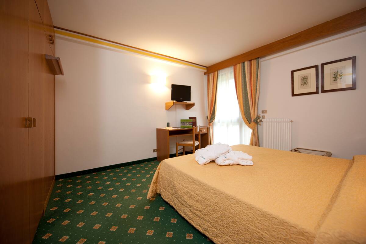 A hotel room with a bed, a desk, a chair, a television, and a radiator.