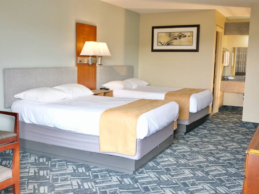 Premium bedding, desk, laptop workspace, blackout curtains