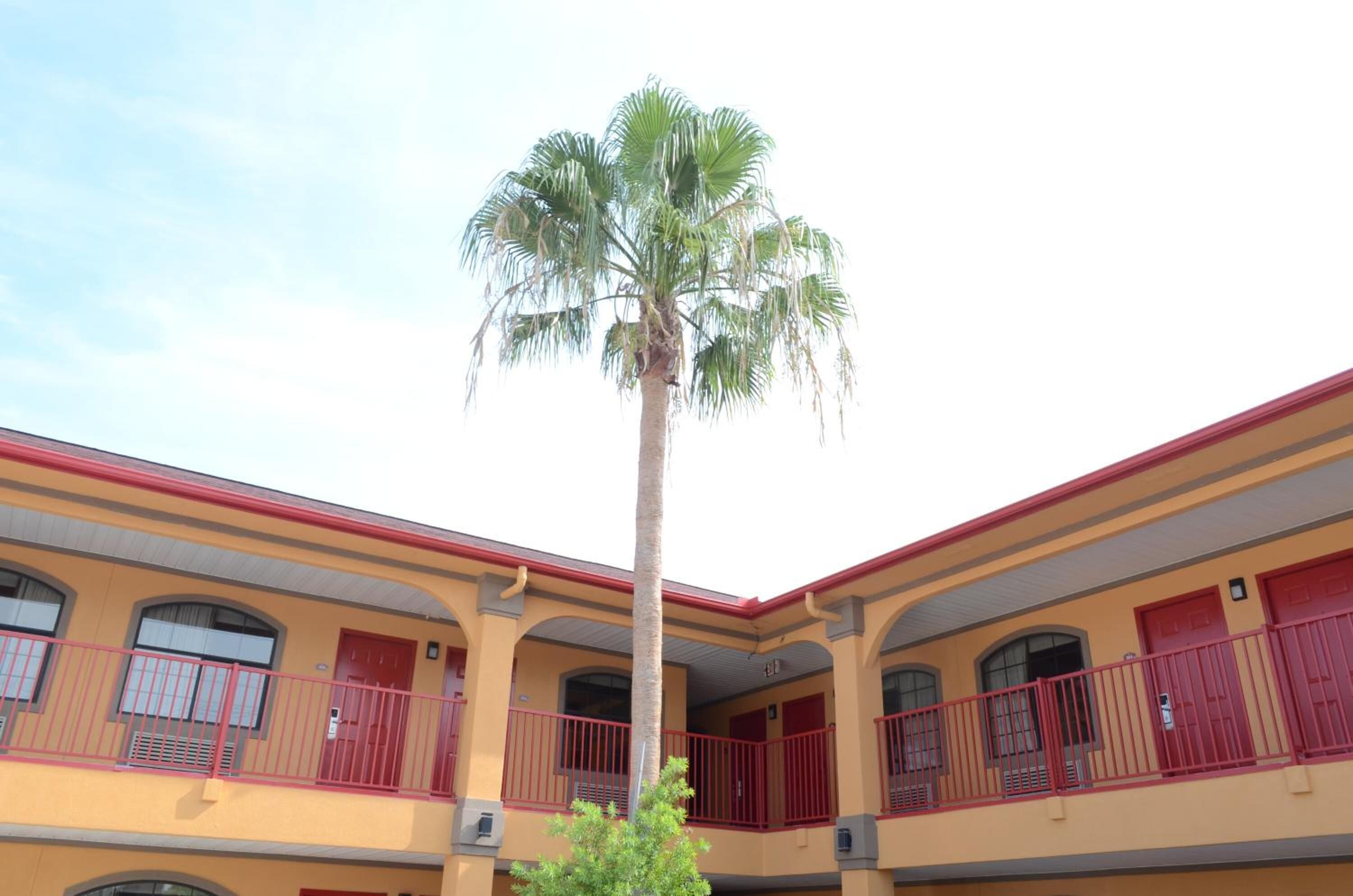 Foto - Regency Inn Humble IAH - Intercontinental