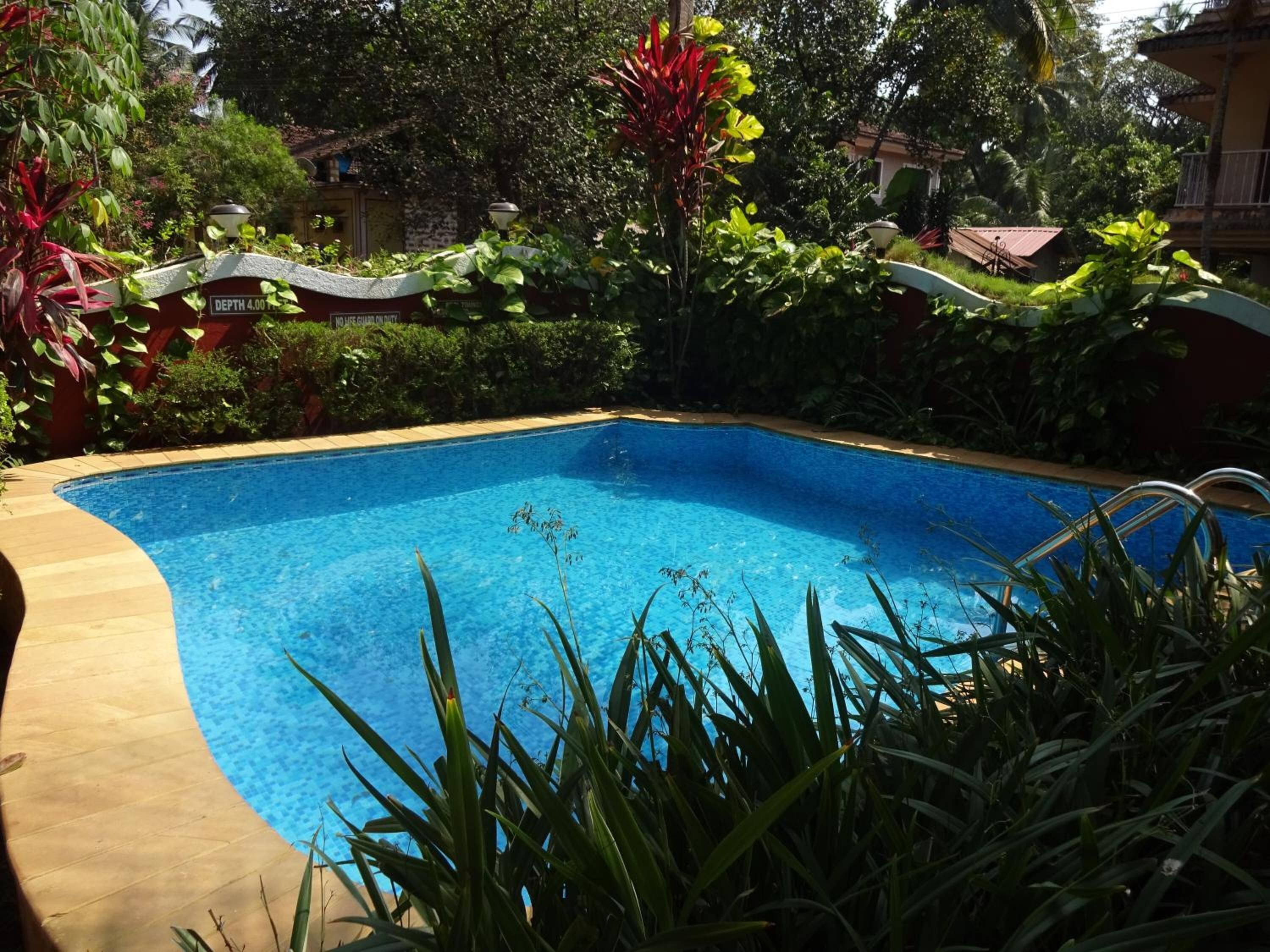 outdoor pool, pool loungers