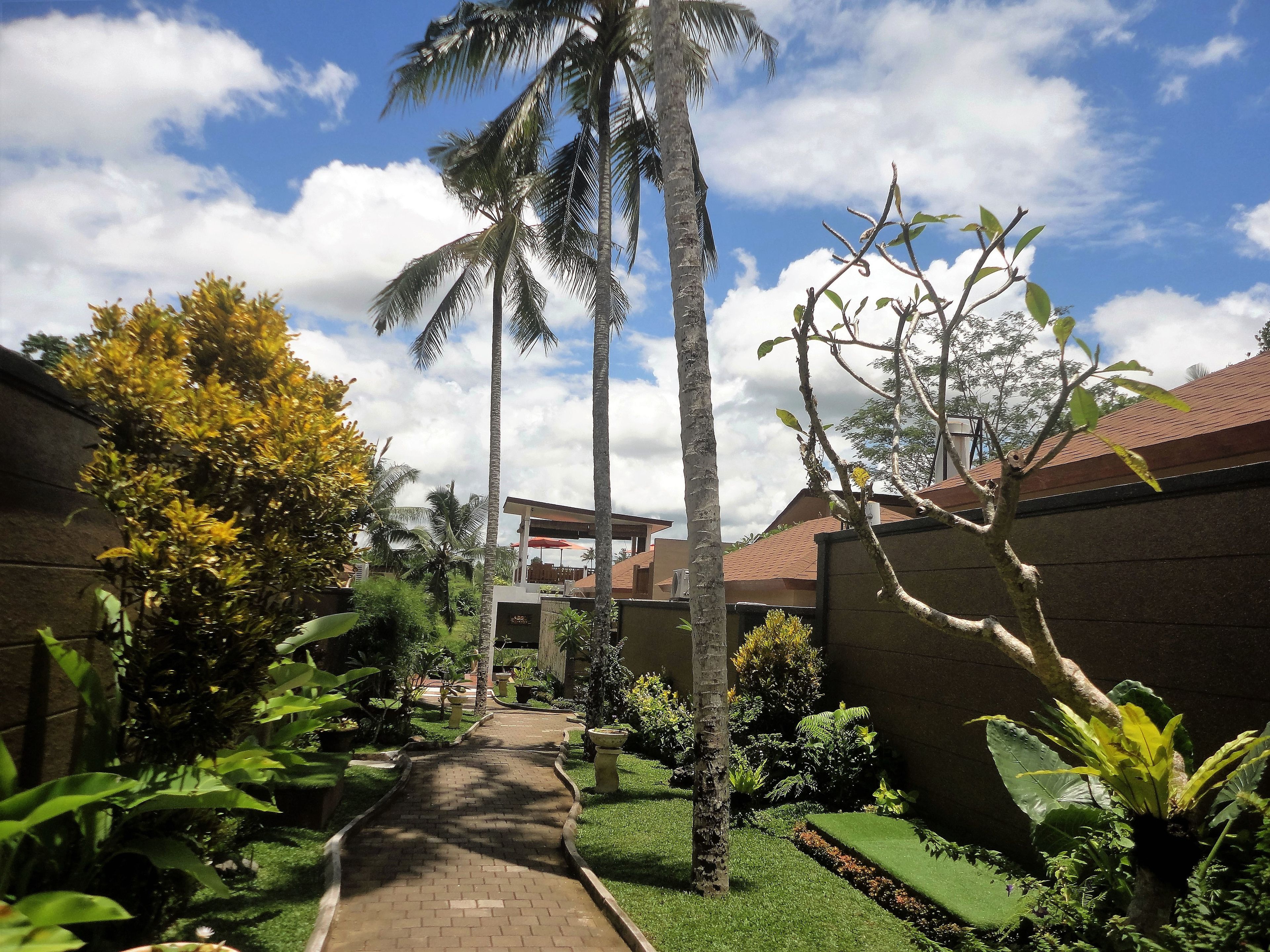 superior room with balcony & garden view | view from room