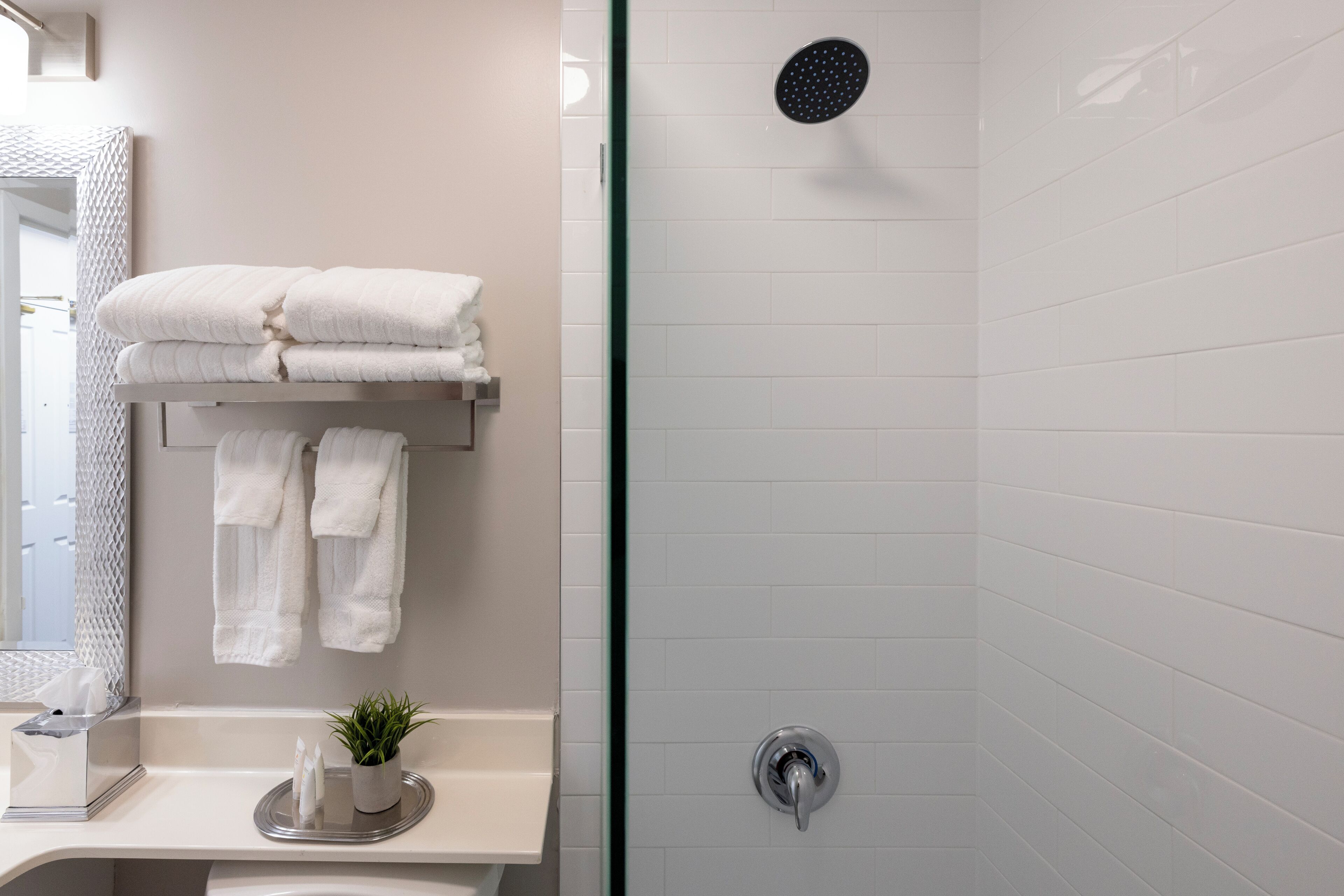 Une salle de bain moderne avec une douche à parois de verre, un porte-serviettes avec des serviettes pliées, une petite plante en pot et un porte-rouleau de papier toilette.