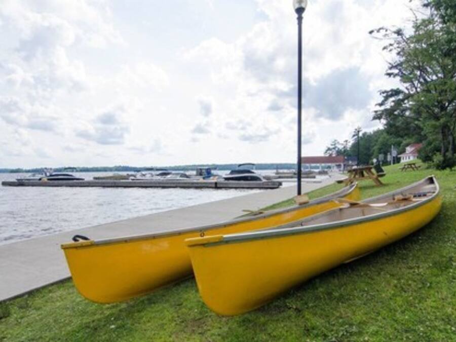 Un passeig marítim amb dues canoes grogues aparcades sobre l'herba, una passarel·la i una filera de vaixells al fons.