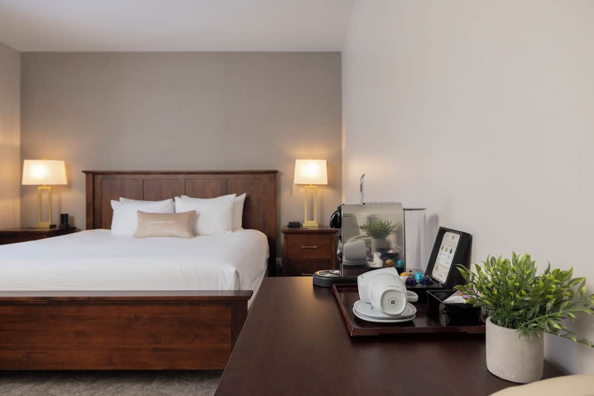 Chambre Standard, 1 très grand lit, vue jardin