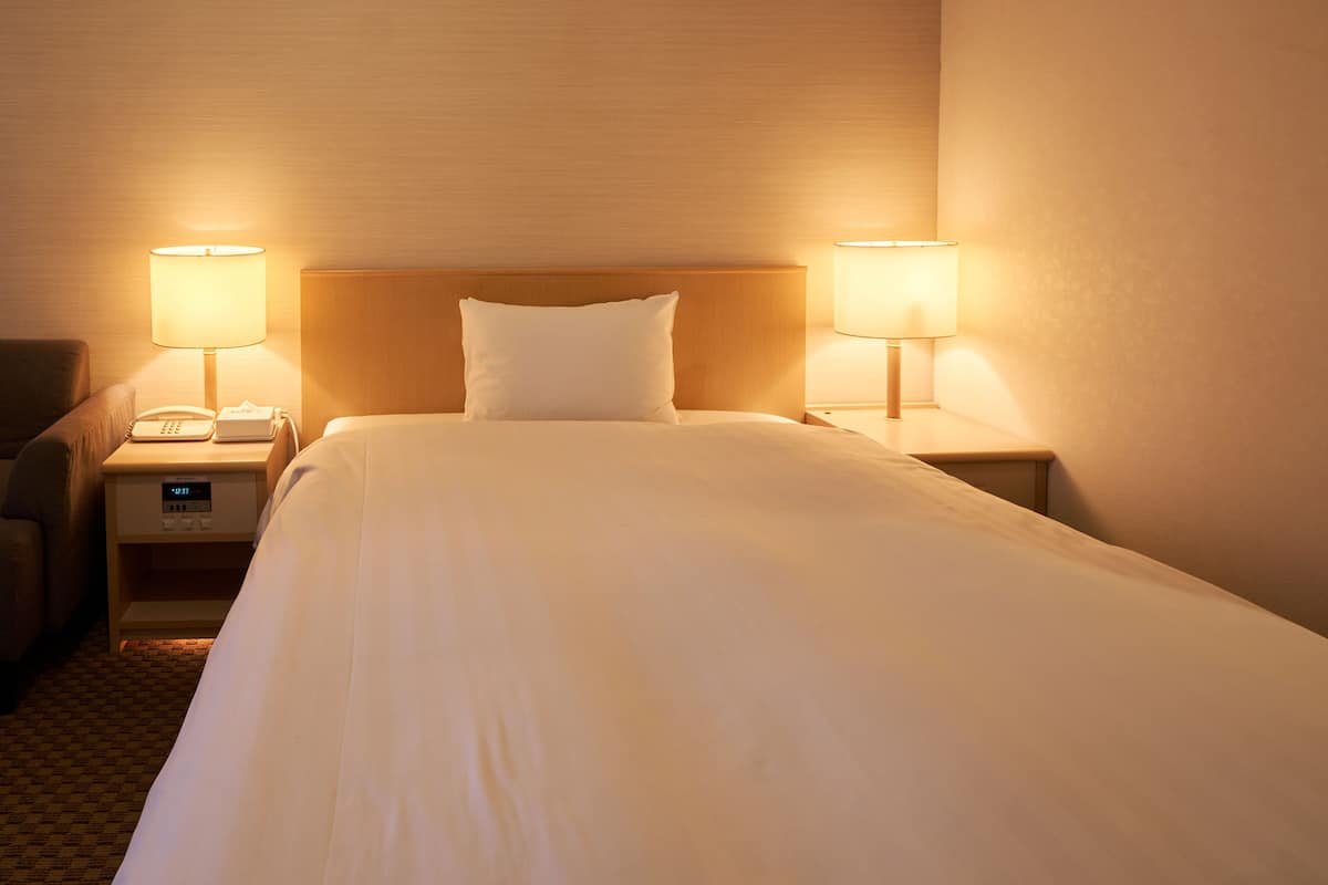 Basic Double Room, 1 Double Bed, Smoking | Down comforters, free WiFi, bed sheets