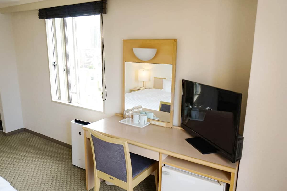 Habitación básica doble, 1 cama matrimonial, para no fumadores | Edredón, wifi gratis y ropa de cama 