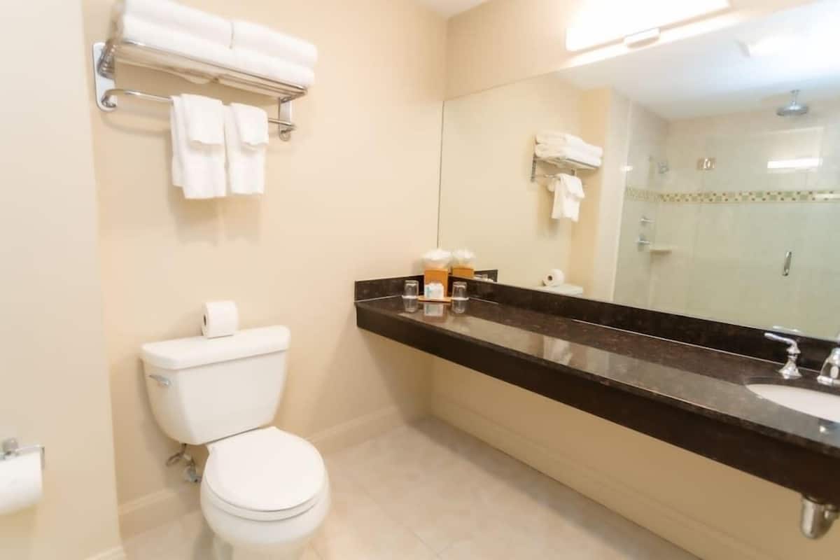 A modern bathroom with a toilet, sink, and mirror.
