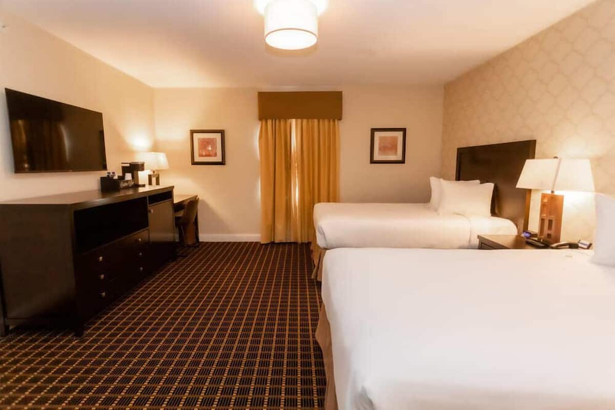 A hotel room with two beds, a TV, a desk, and a patterned carpet.