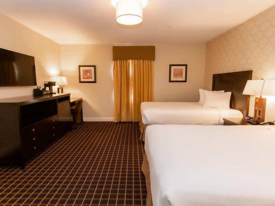 A hotel room with two beds, a TV, a desk, and a patterned carpet.