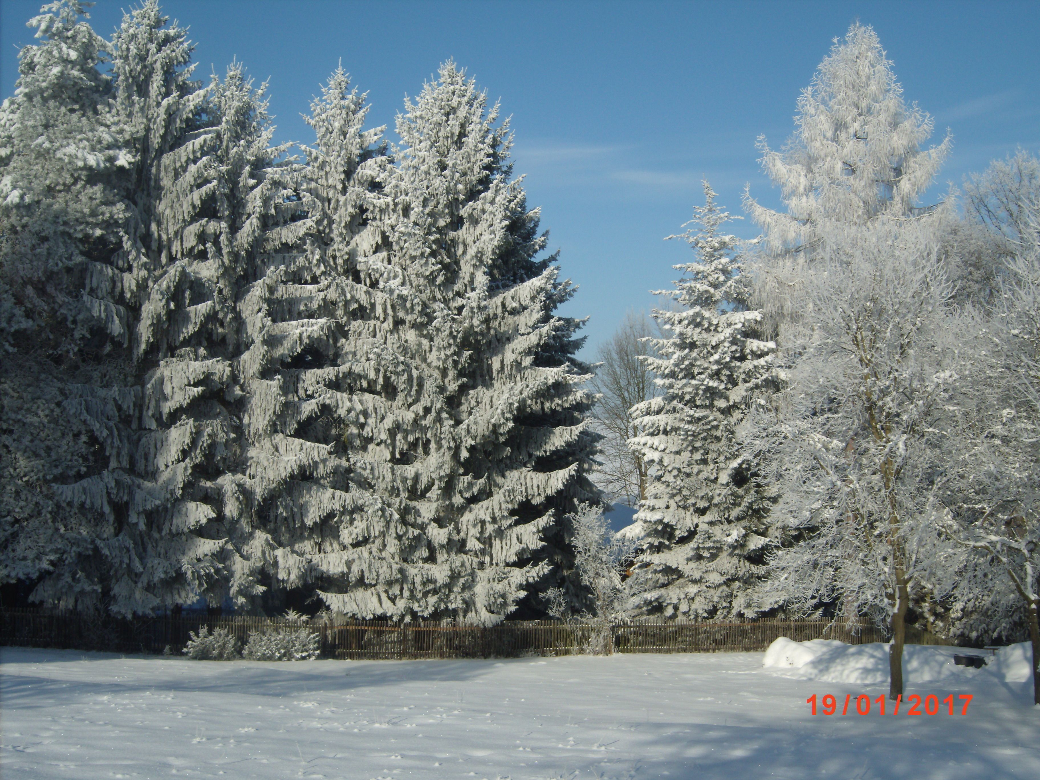Wintersport/Ski