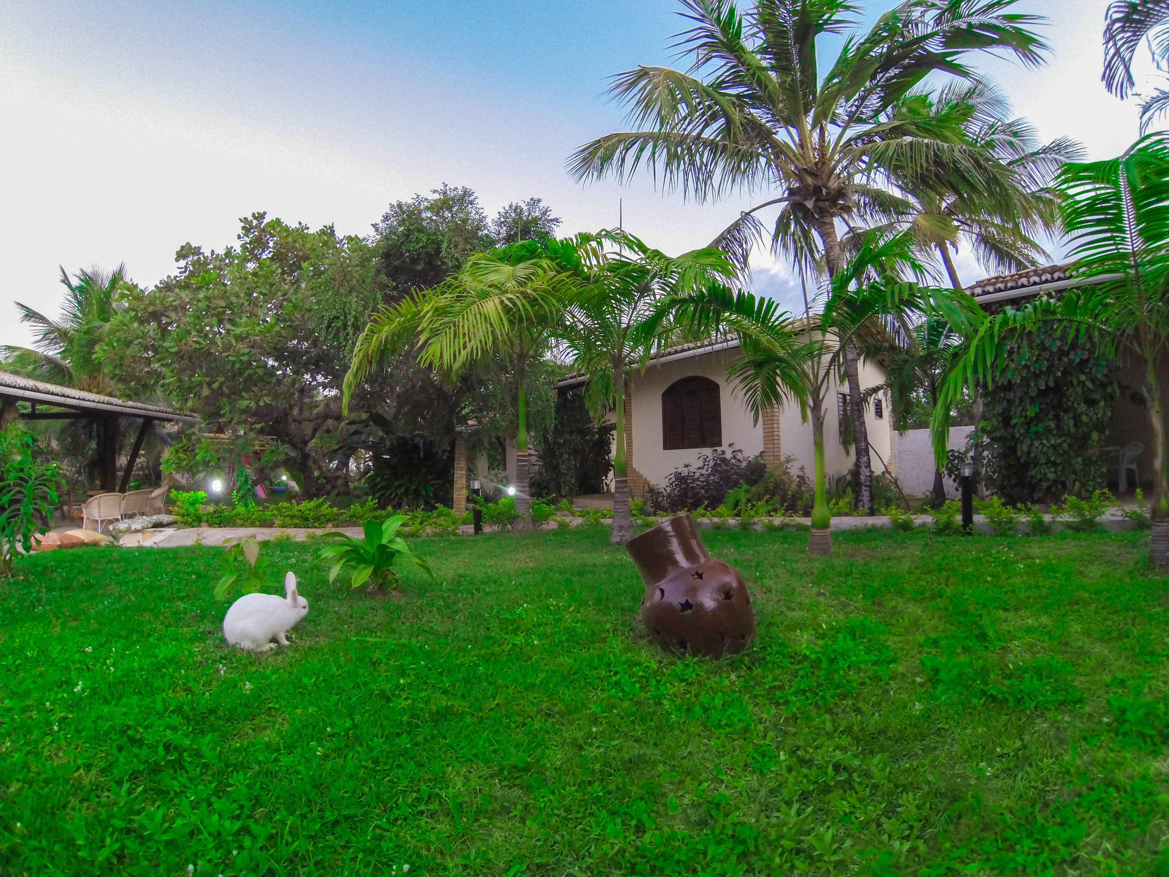 Un jardín exuberante con un conejo blanco, un jarrón grande y una casa con tejado de tejas.