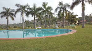Una piscina rodeada de césped y palmeras, con sillones de descanso y un pabellón al fondo.