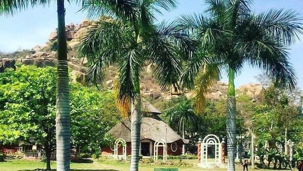 Una piscina rodeada de palmeras y un edificio con puertas arqueadas.