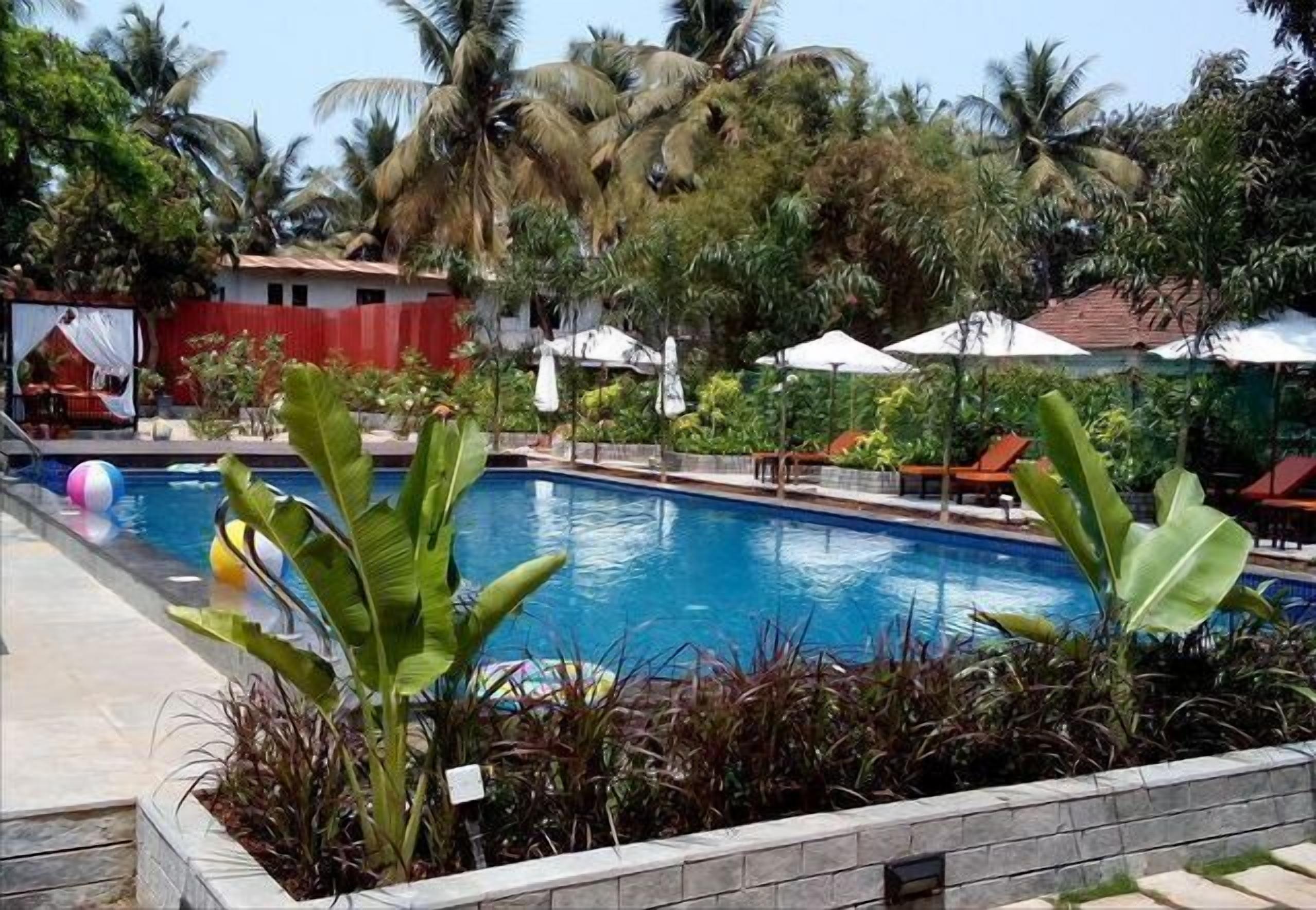 Une piscine entourée d’une végétation luxuriante et de palmiers, avec des espaces de détente en plein air et des parasols.