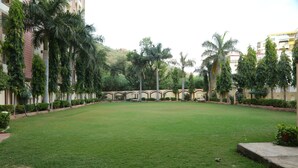 Un patio con césped cuidado, palmeras y un sendero de piedra que lleva a un edificio con arcos.