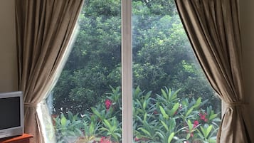 Habitación | Vistas desde la habitación