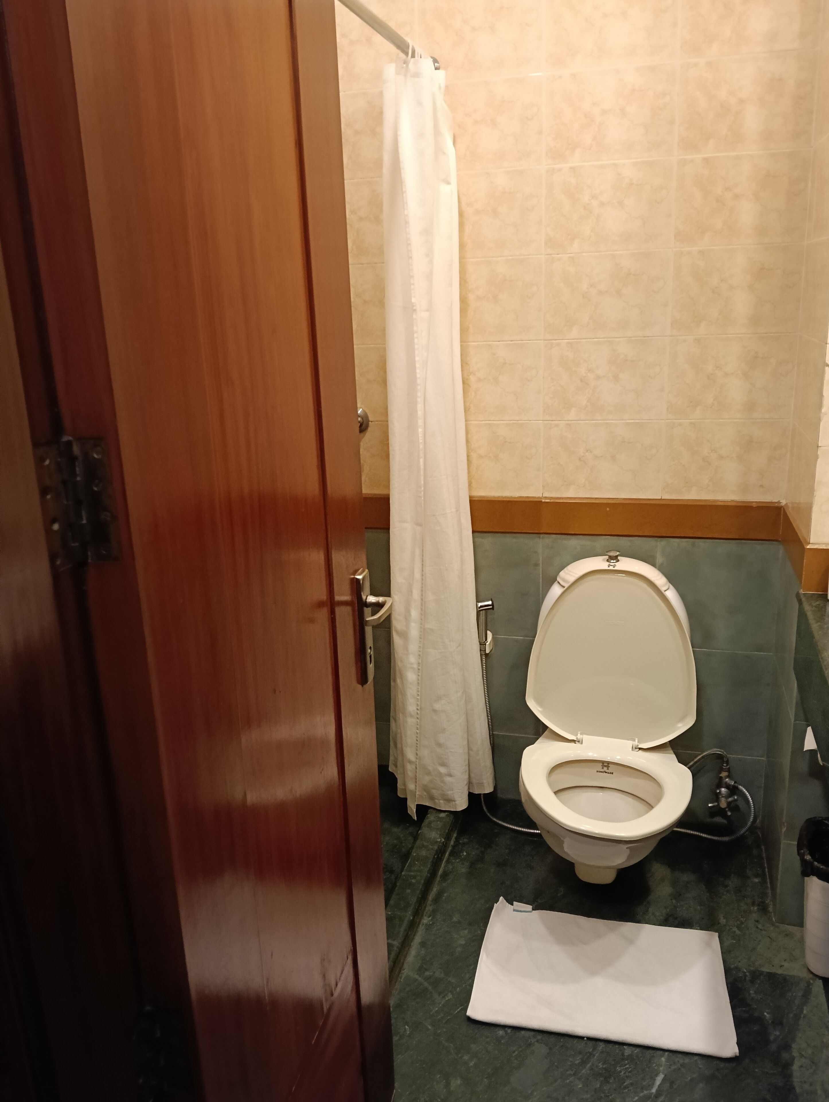 A bathroom with a toilet, a shower curtain, and a wooden door.