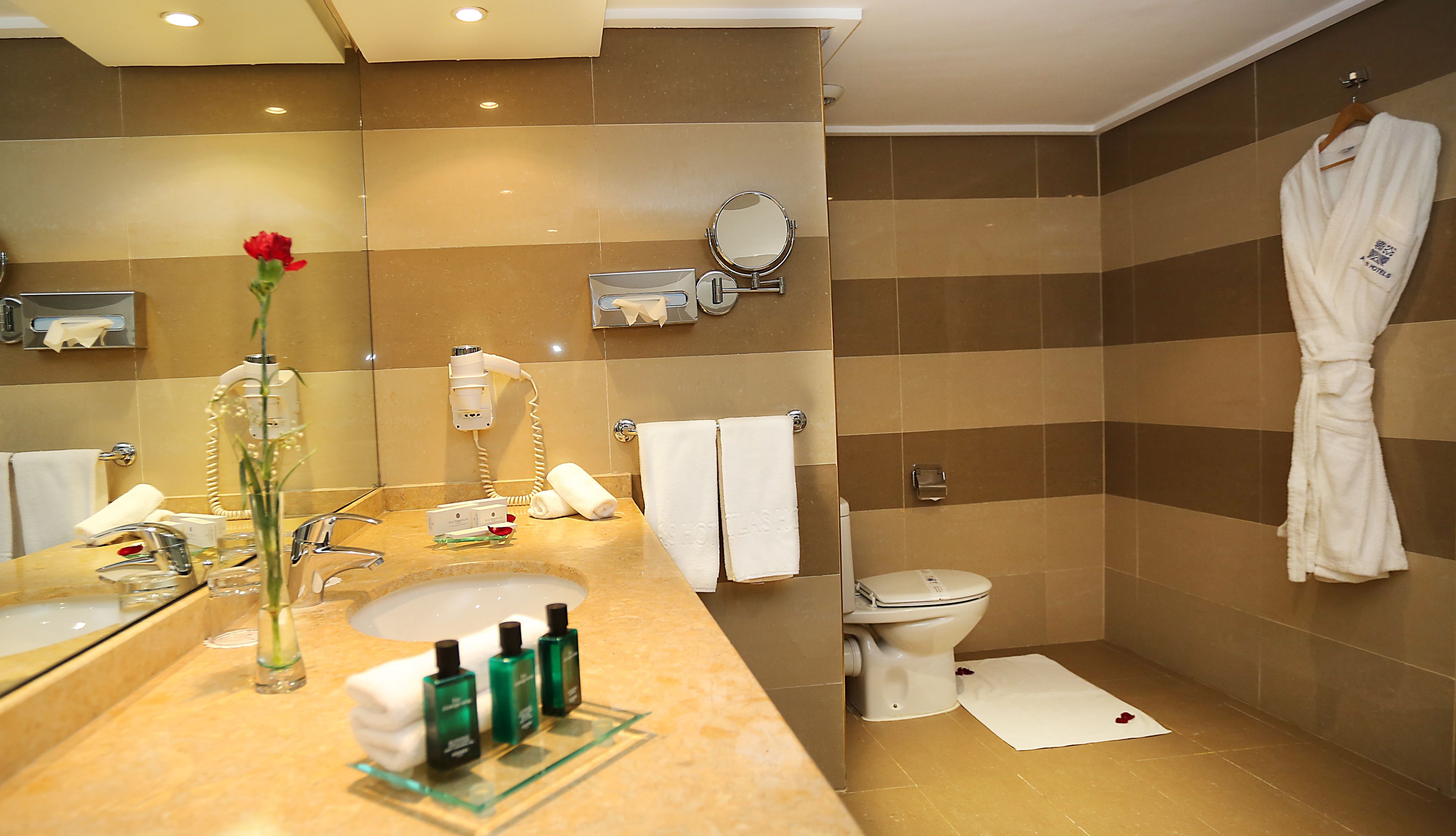 free toiletries, hair dryer, towels