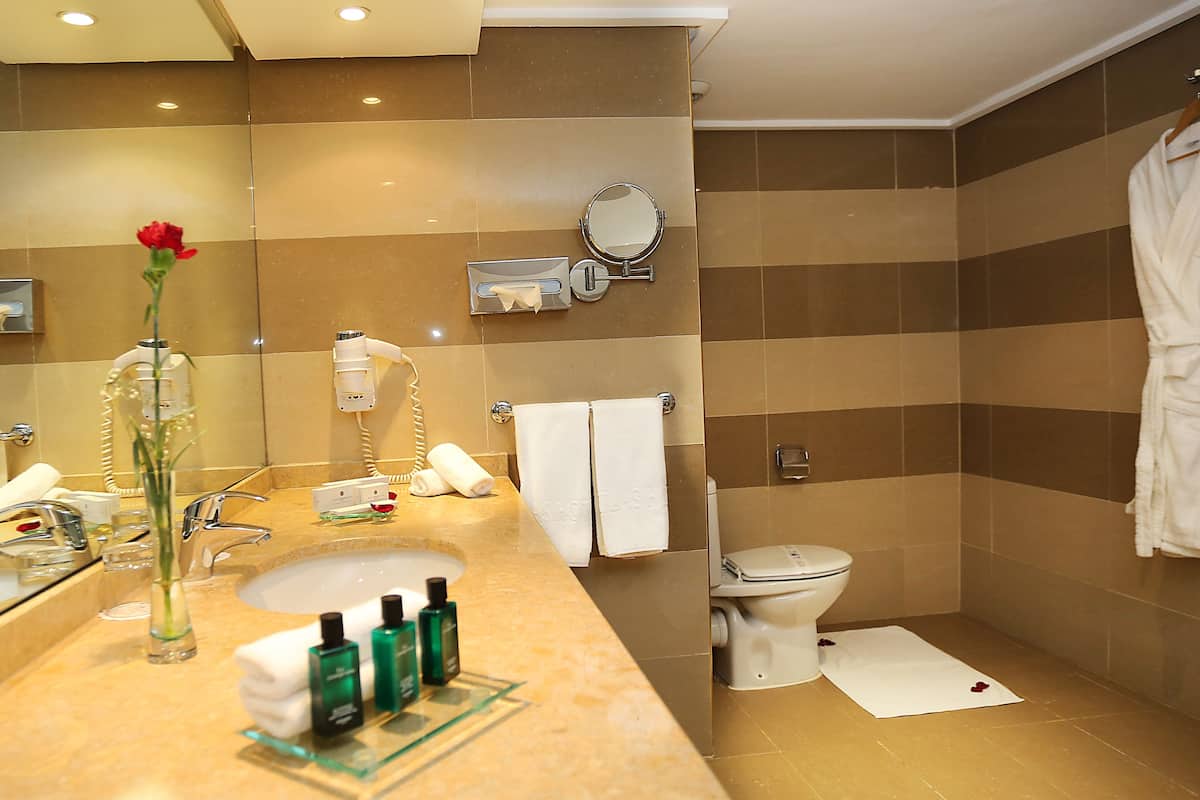 free toiletries, hair dryer, towels