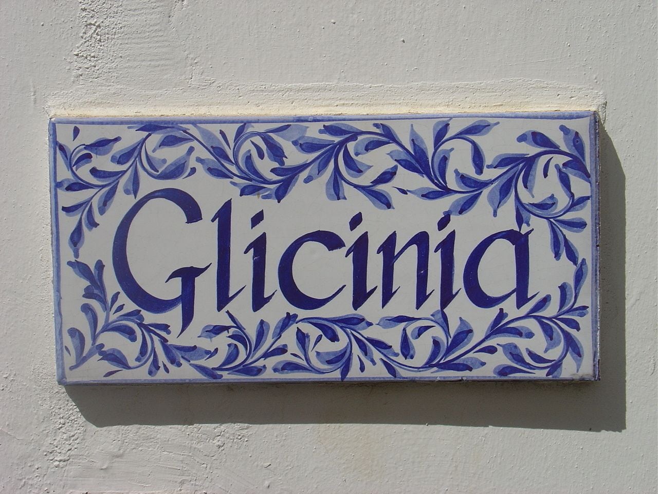 Un letrero rectangular con la palabra "Glicinia" en letras grandes y decorativas, rodeado de un estampado floral azul.
