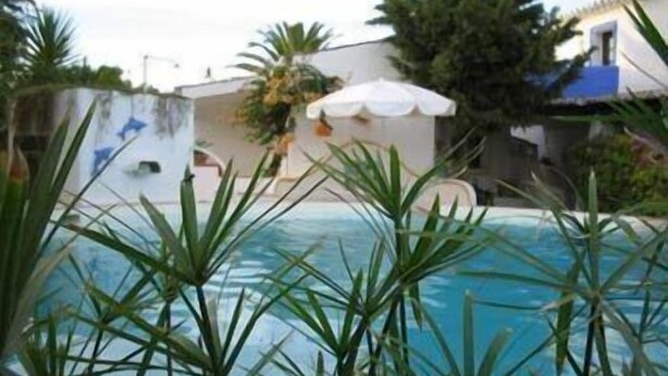 Piscina cercada por palmeiras e um edifício branco com telhado azul.