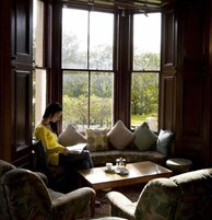 电视、DVD 播放器