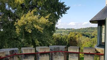 Kahden hengen huone (kaksi sänkyä), terassi | Terassi/patio