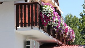 Un balcón con pared blanca y barandilla marrón, decorado con macetas colgantes de flores.