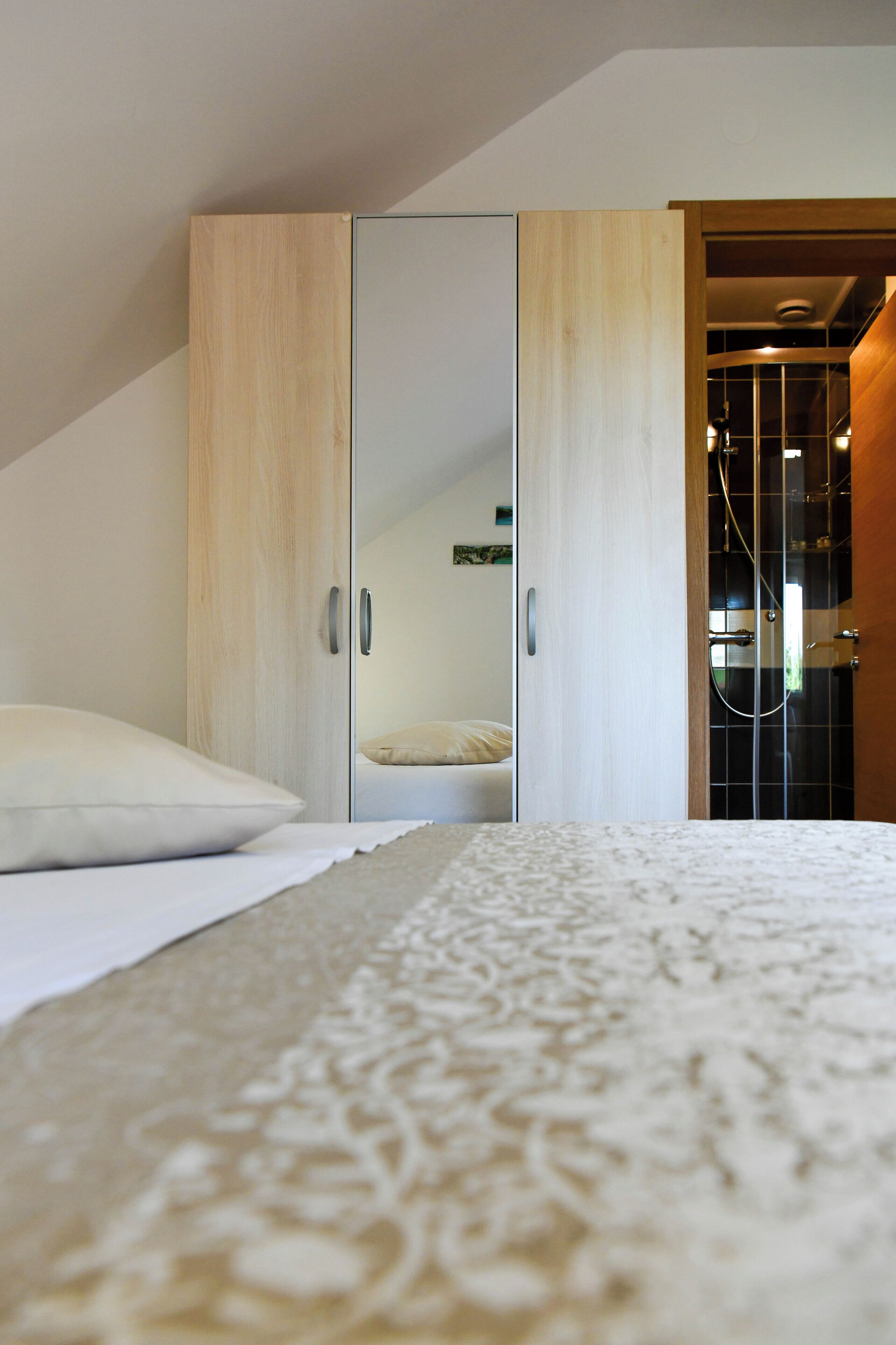A bedroom with a bed, a wardrobe, and a shower area.
