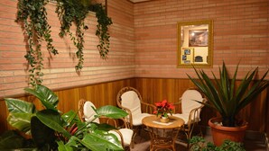 Habitación de esquina con paredes de ladrillo, sillas de mimbre blanco, una mesa redonda de madera y plantas en macetas.