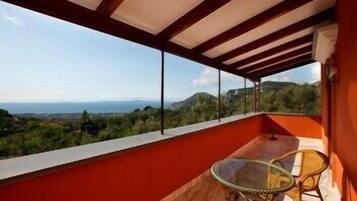 Junior Suite | Terrace/patio