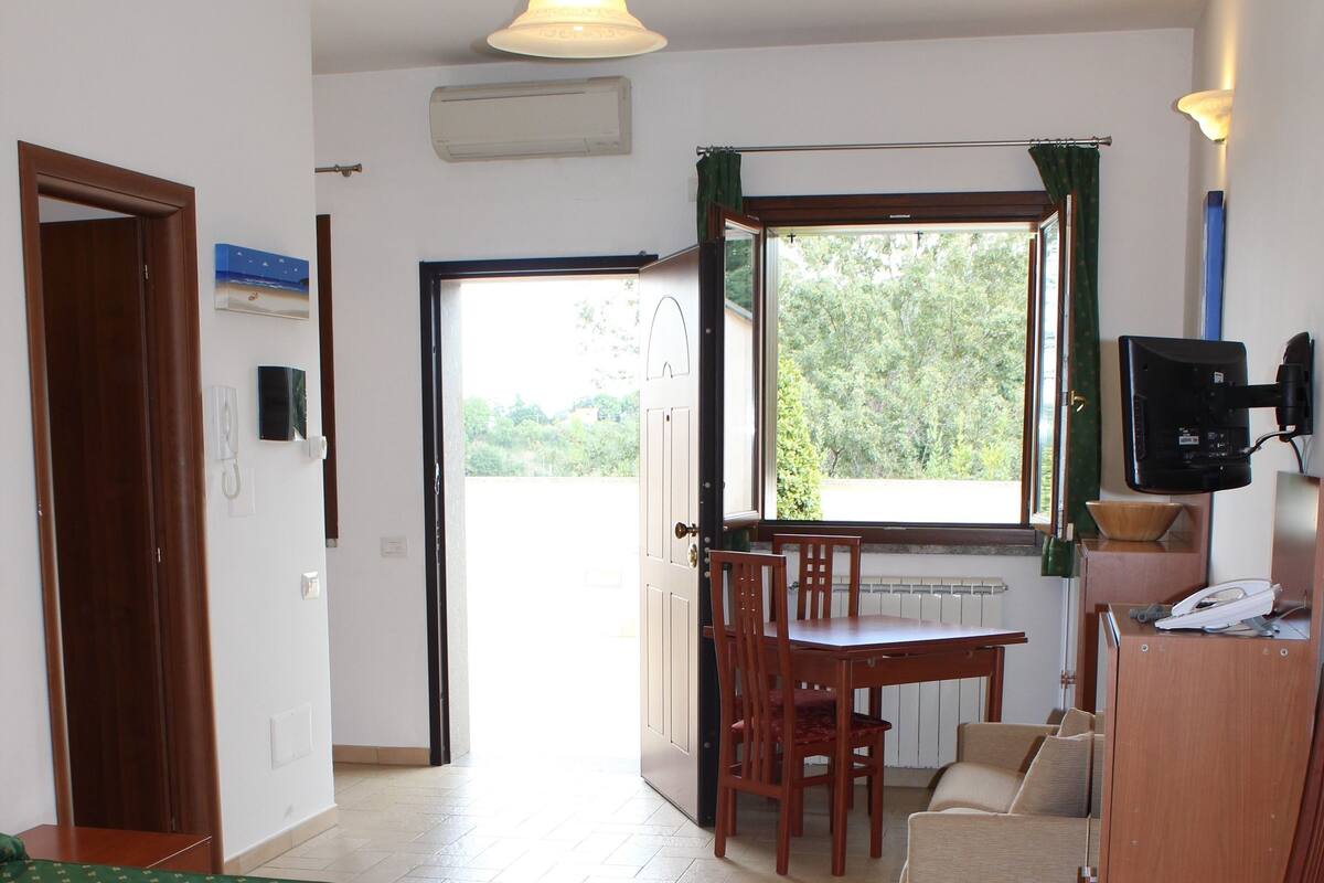 Una habitación con una cama, una mesa de comedor, un sofá y una televisión.