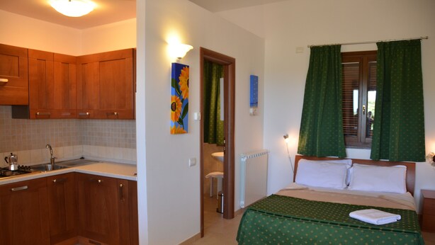 Habitación de hotel pequeña con cocina, cama con cortinas verdes y un cuadro en la pared.